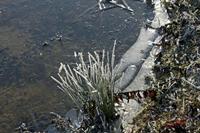Cjp_2010_01_31_114618 (1).jpg